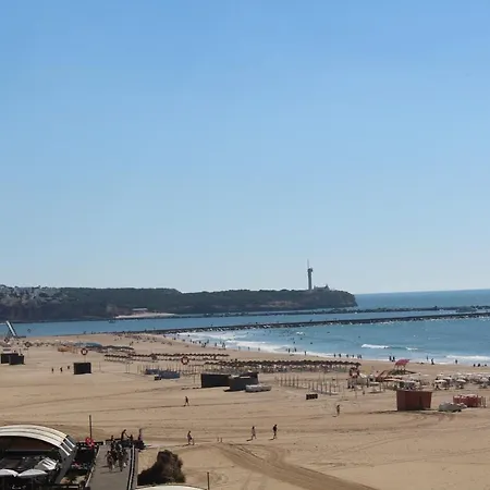 T1 Da Rocha Sunflower * Portimao